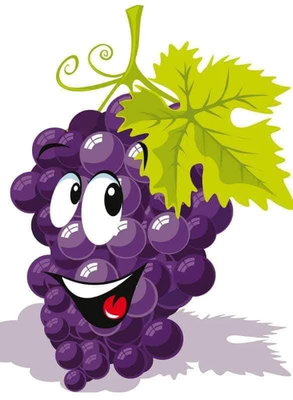 The pickle pickler Trio 🍑 watermelon 🍉 and 🍇